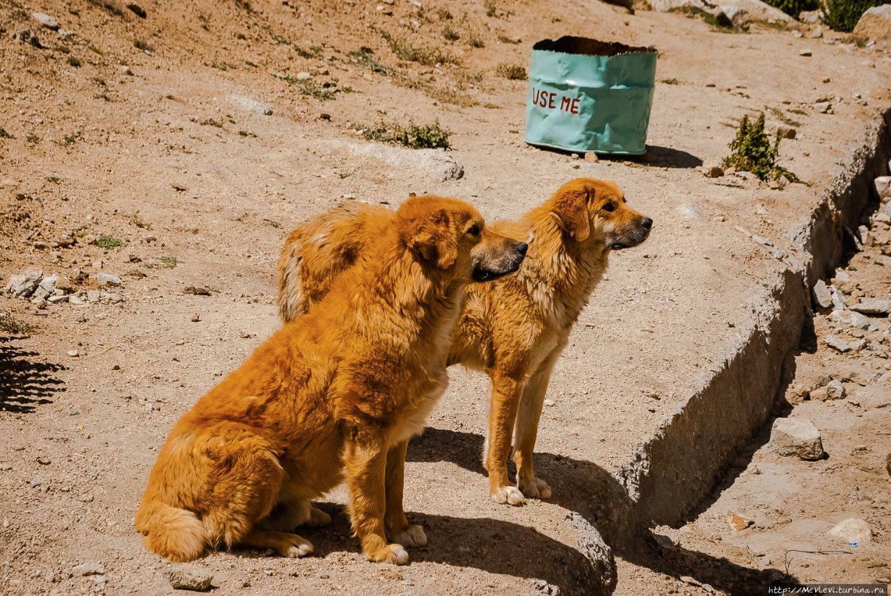 Гималаи Северной Индии. Лех, Индия