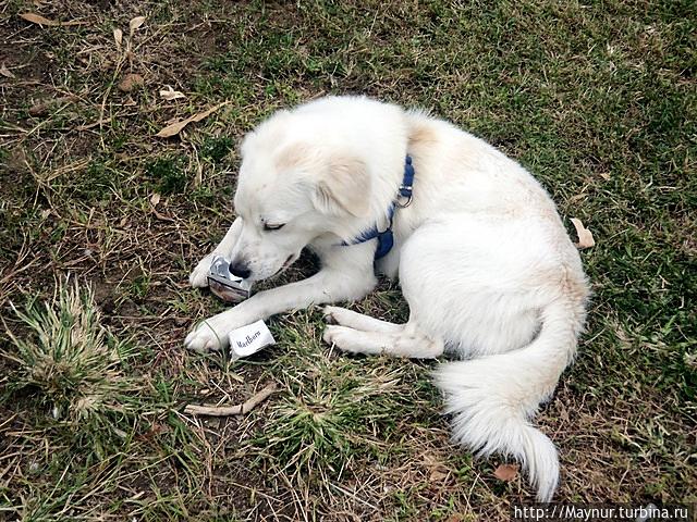 Турция.  Бодрум.  Курим  только  Мальборо.