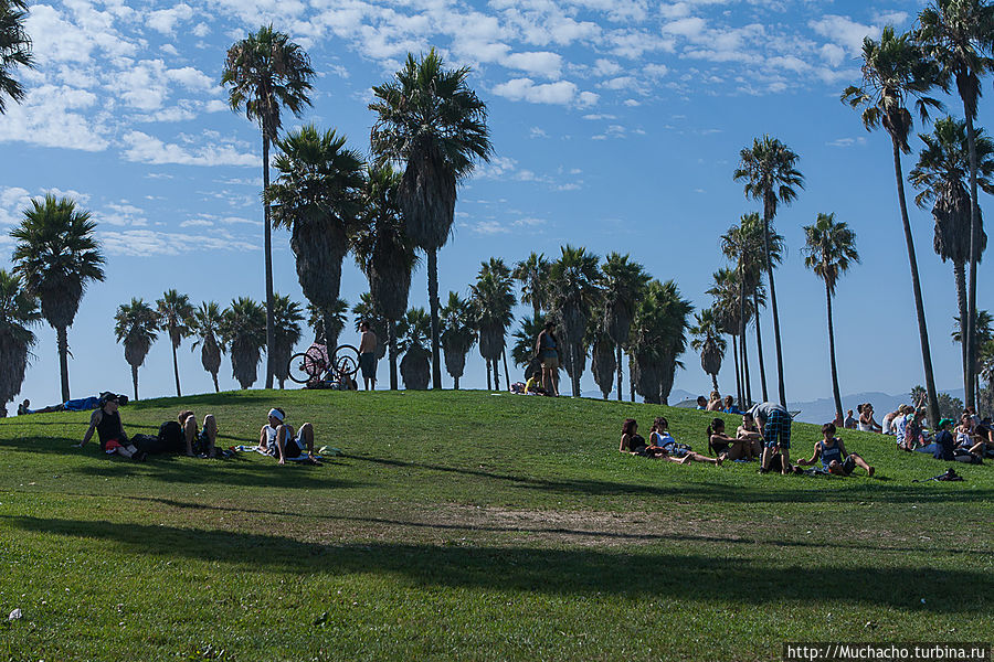 Не ангелы Лос-Анжелес, CША