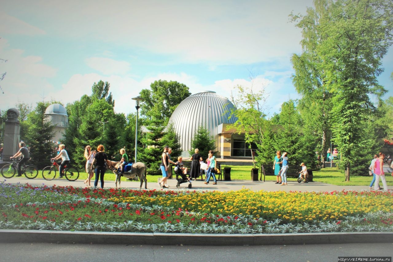 Прошлым летом, в цветочном городе. Новокузнецк, Россия