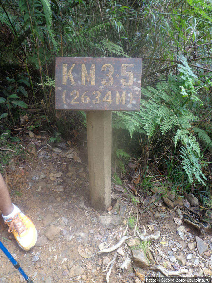 Подъем на гору Кинабалу ч.2 Гора Кинабалу Национальный Парк (4095м), Малайзия