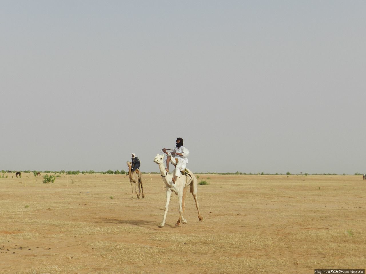 Нигер. Ч — 15. Скачки. Дорога в Агадес Департамент Агадес, Нигер
