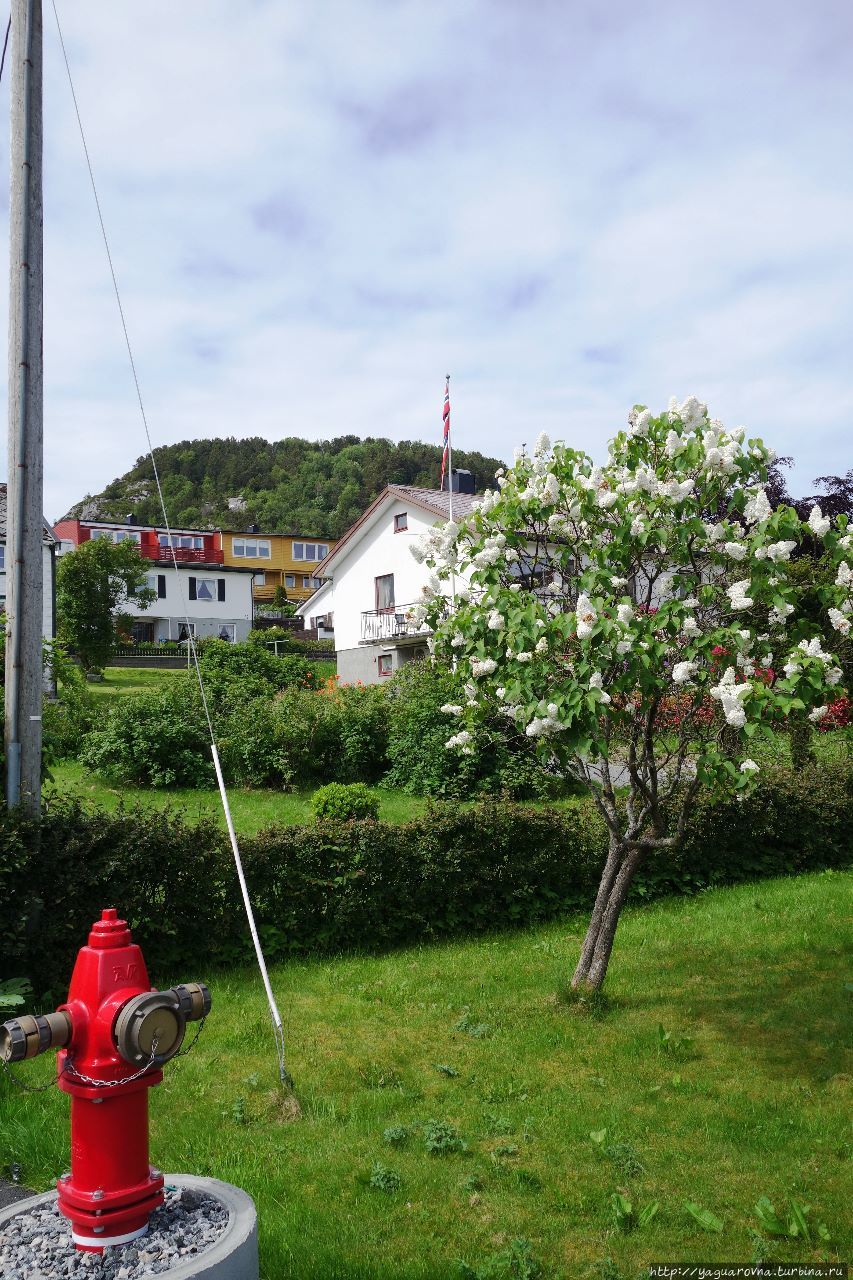 Сахарная вершина Олесунн, Норвегия