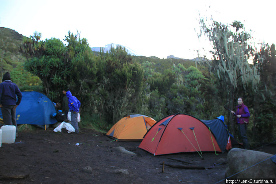 наши 2 палатки и палатка гида (синяя) Танзания