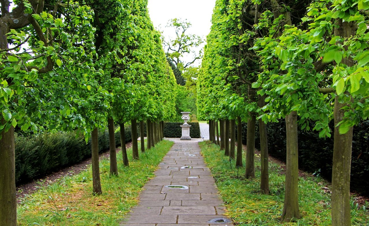 Королевские ботанические сады Кью Кью-Гарденс, Великобритания