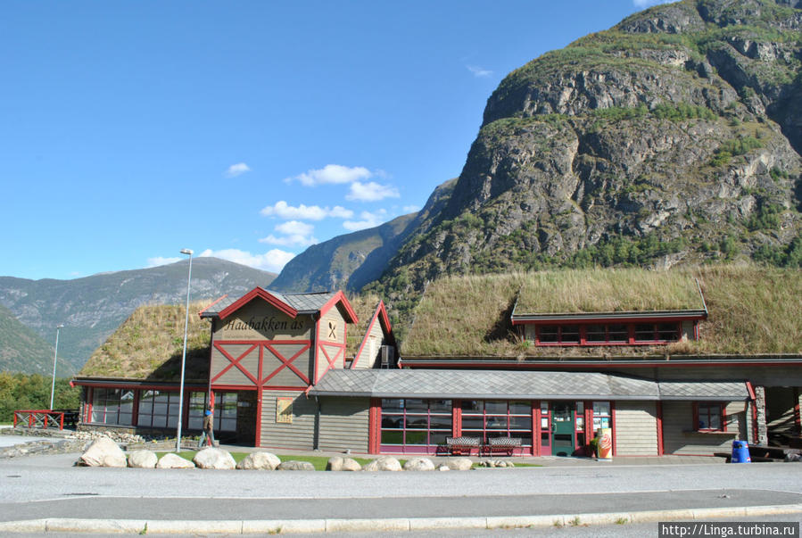 На выезде из Лаердальского тоннеля —  40-минутная остановка в Хобаккене Флом, Норвегия