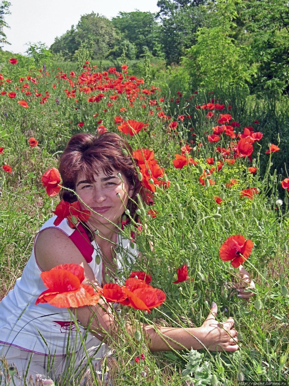 Я поля любимой постелил Херсонская область, Украина