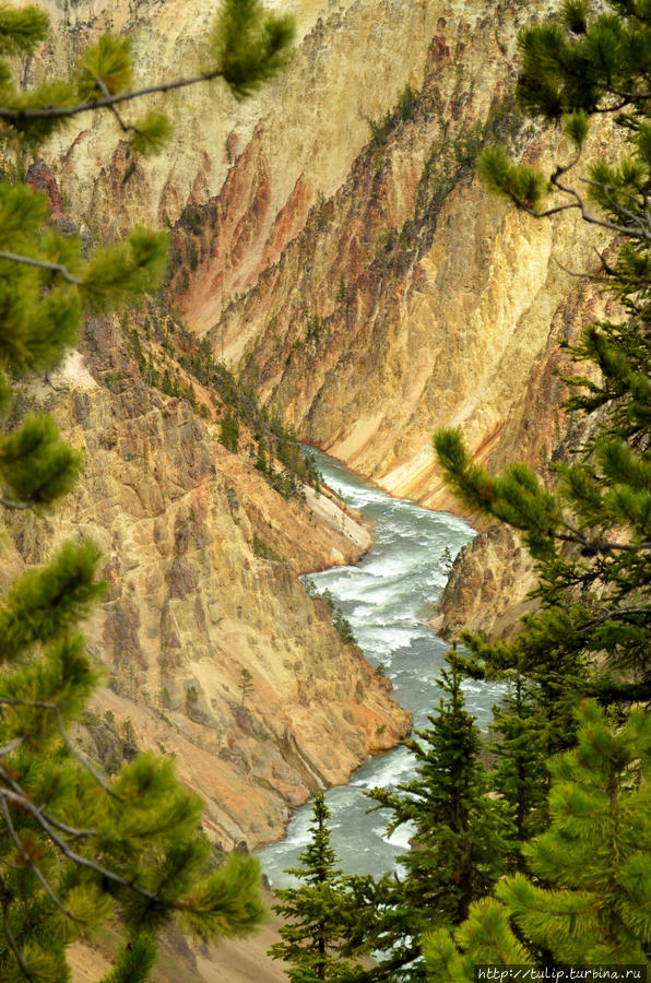 Пик нокаут ущелье золотой руки. Пик на карту ущелье золотой руки. Ущелье золотой руки пики. Ручей золотая плеть парк чжанцзяцзе. Пик нокаут ущелье золотой руки.