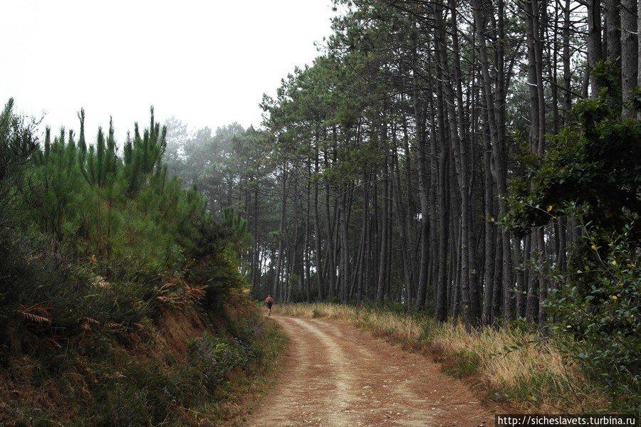Украинские пилигримы в Испании. Путь на Край Света Финистерр, Испания