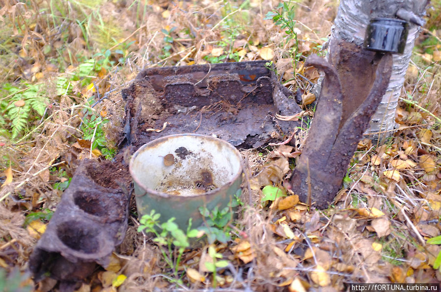 Это то, что мы нашли:ящики от снарядов,снаряды,котелок немецкий Мурманск, Россия