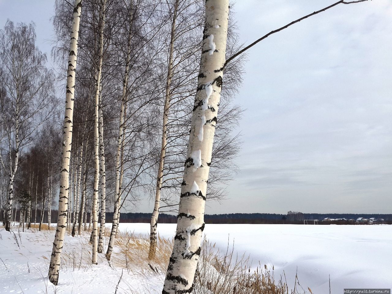 На этом футбольном поле было бы слышно даже, как тренер машет рукой Вараксино, Россия