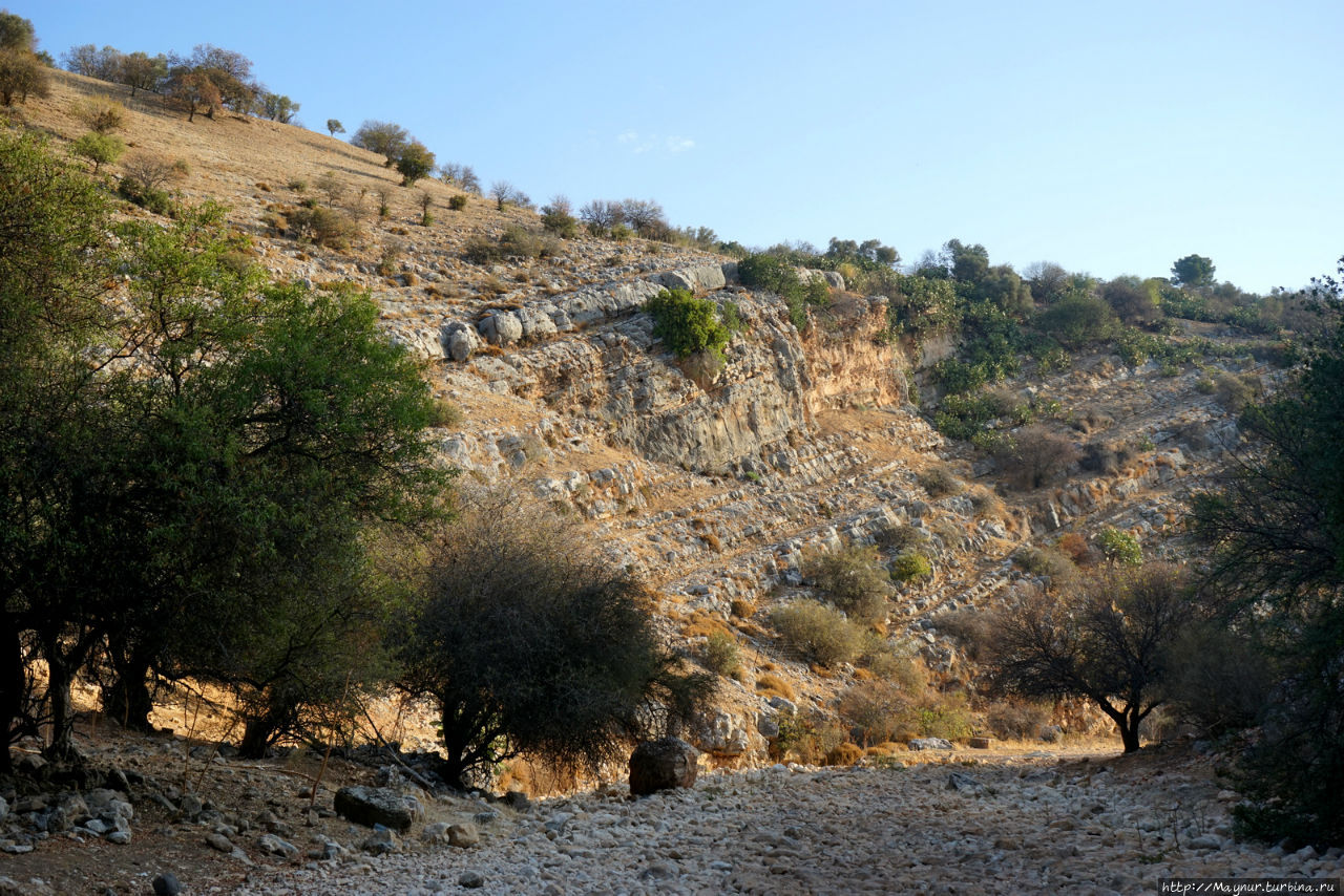 Вторая  половина  долины  Дишон. Мерон (город и гора 1208м), Израиль