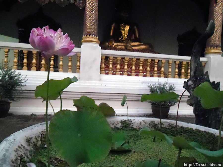 Чиангмай Чиангмай, Таиланд