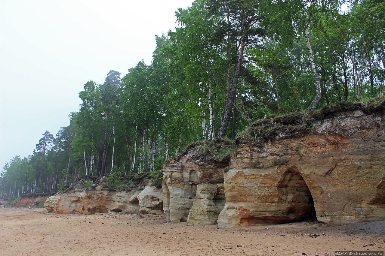 Скалистый берег Видземе Видземские скалы, Латвия