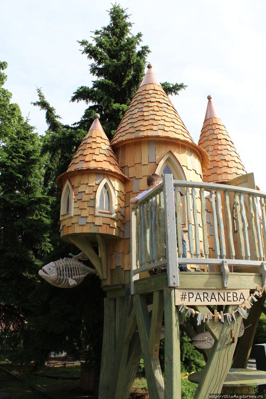 Moscow Flower Show 2017. Фотоотчёт и впечатления. Москва, Россия