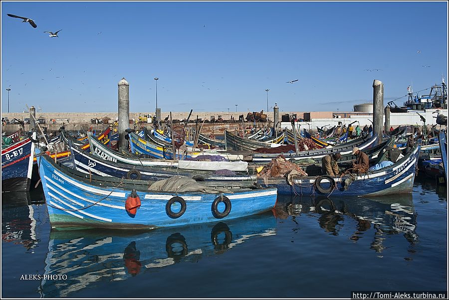 В океане синих лодок (Марокканский Вояж ч4)