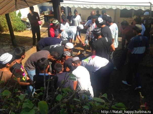 Курбан-Байрам. Реюньон