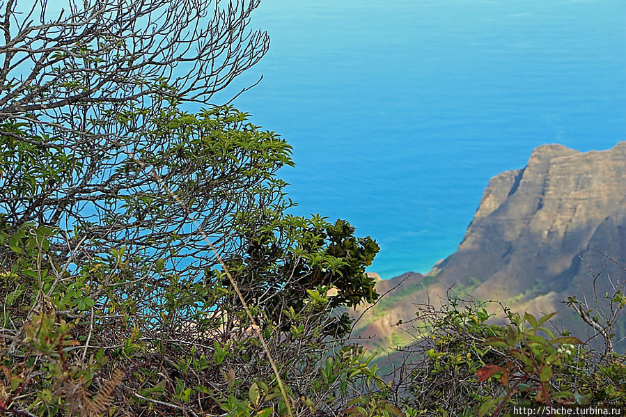 Kalalau lookout — конец автогеографии острова Кауаи На Пали Коаст Парк Штата, CША