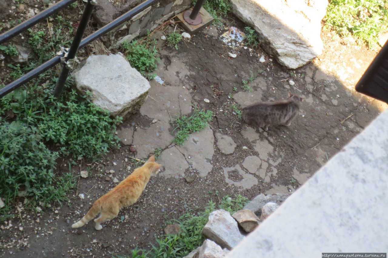 Третий день в Риме: Пантеон, Капитолий, этруски и Леонардо Рим, Италия