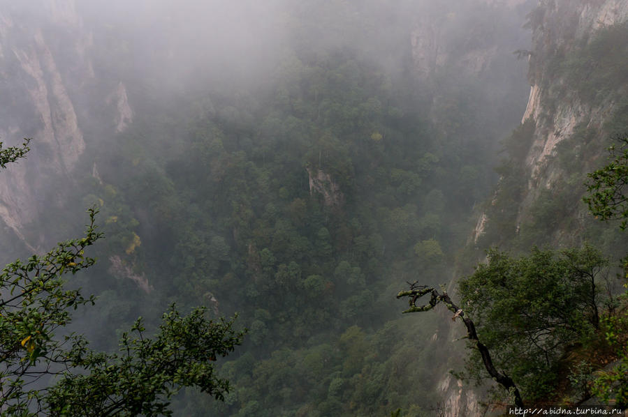 Чжанцзяцзе и Небесные врата. День 2-й Чжанцзяцзе Национальный Лесной Парк (Парк Аватар), Китай