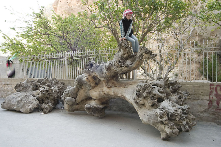 В гостях у святой Фёклы Маалула, Сирия