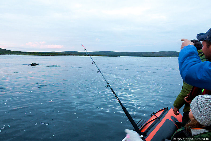 Кольский полуостров. Рыбалка на краю света Мурманская область, Россия