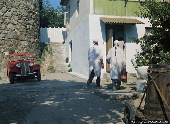 Барбамбия кергуду Алушта, Россия