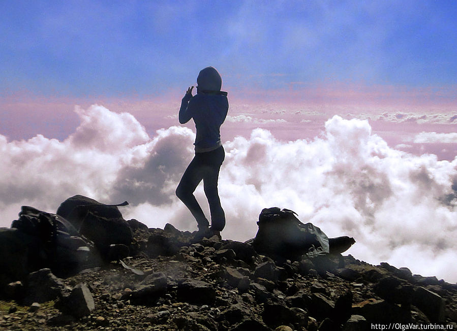 Облака опять поставили паруса свои.
В зыбь небес свой бег направили белые ладьи.
Тихо, плавно, без усилия, в даль без берегов
Вышла дружная флотилия сказочных пловцов.
Hо и нас ведь должен с палубы видеть кто-нибудь,
Чье желанье сознавало бы этот водный путь!
(Валерий Брюсов)