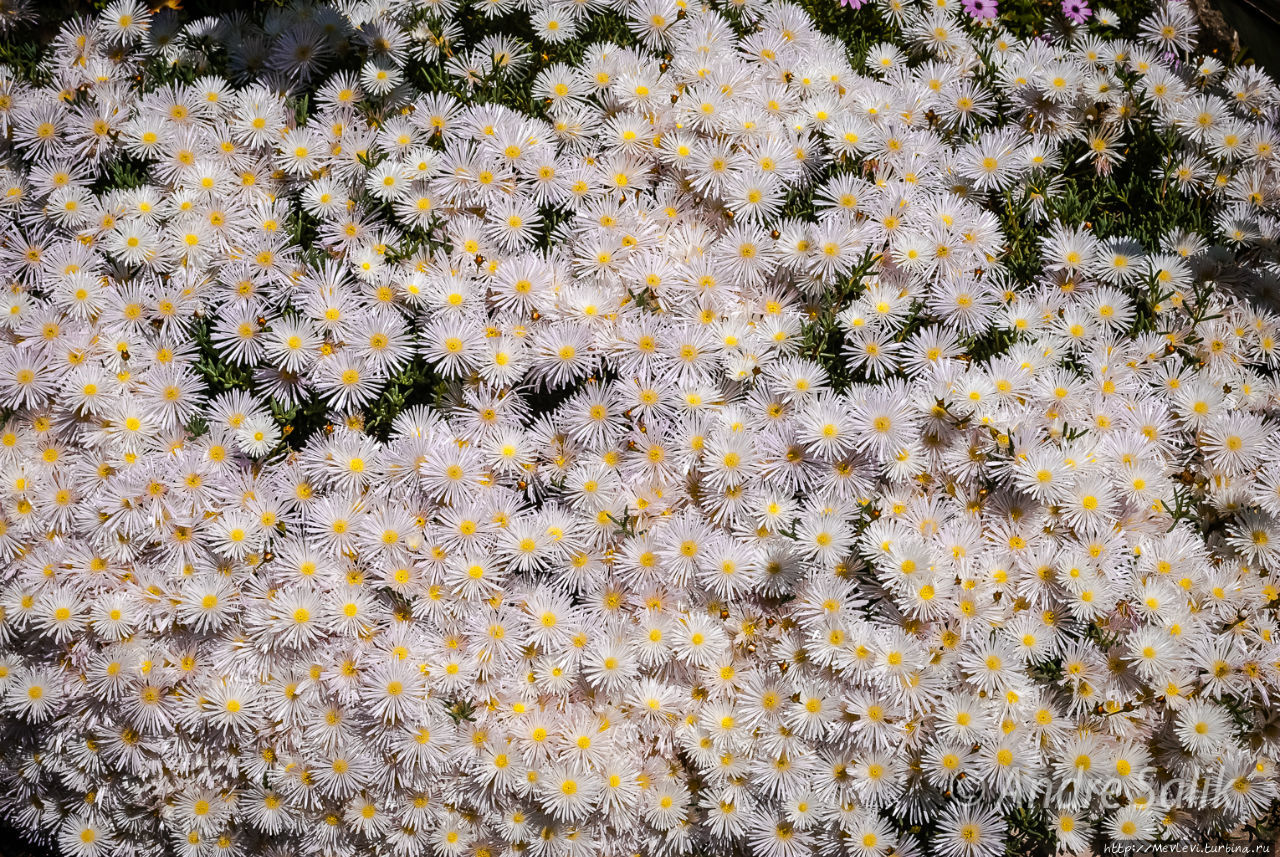 В мае на юге Барселона, Испания