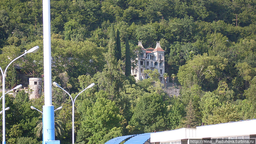 Лето  в  Гаграх Гагра, Абхазия