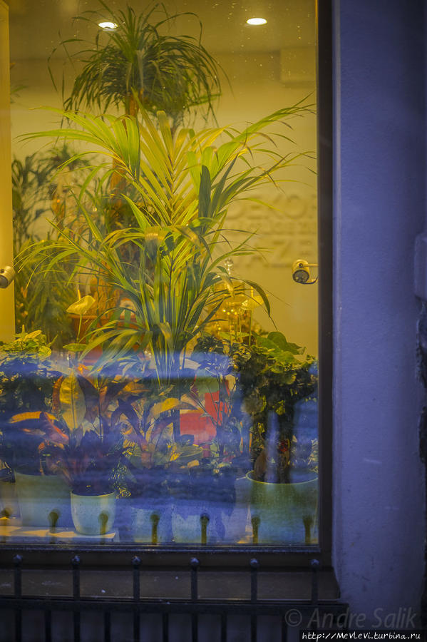 Рига накануне Рождества Рига, Латвия