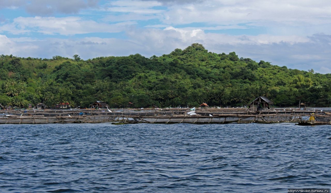 Озеро Тааль Талисай, Филиппины