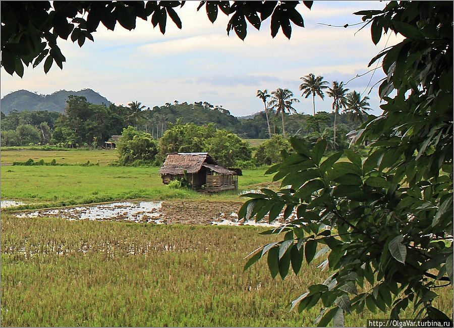 А это крестьянские хижинки Остров Бохол, Филиппины