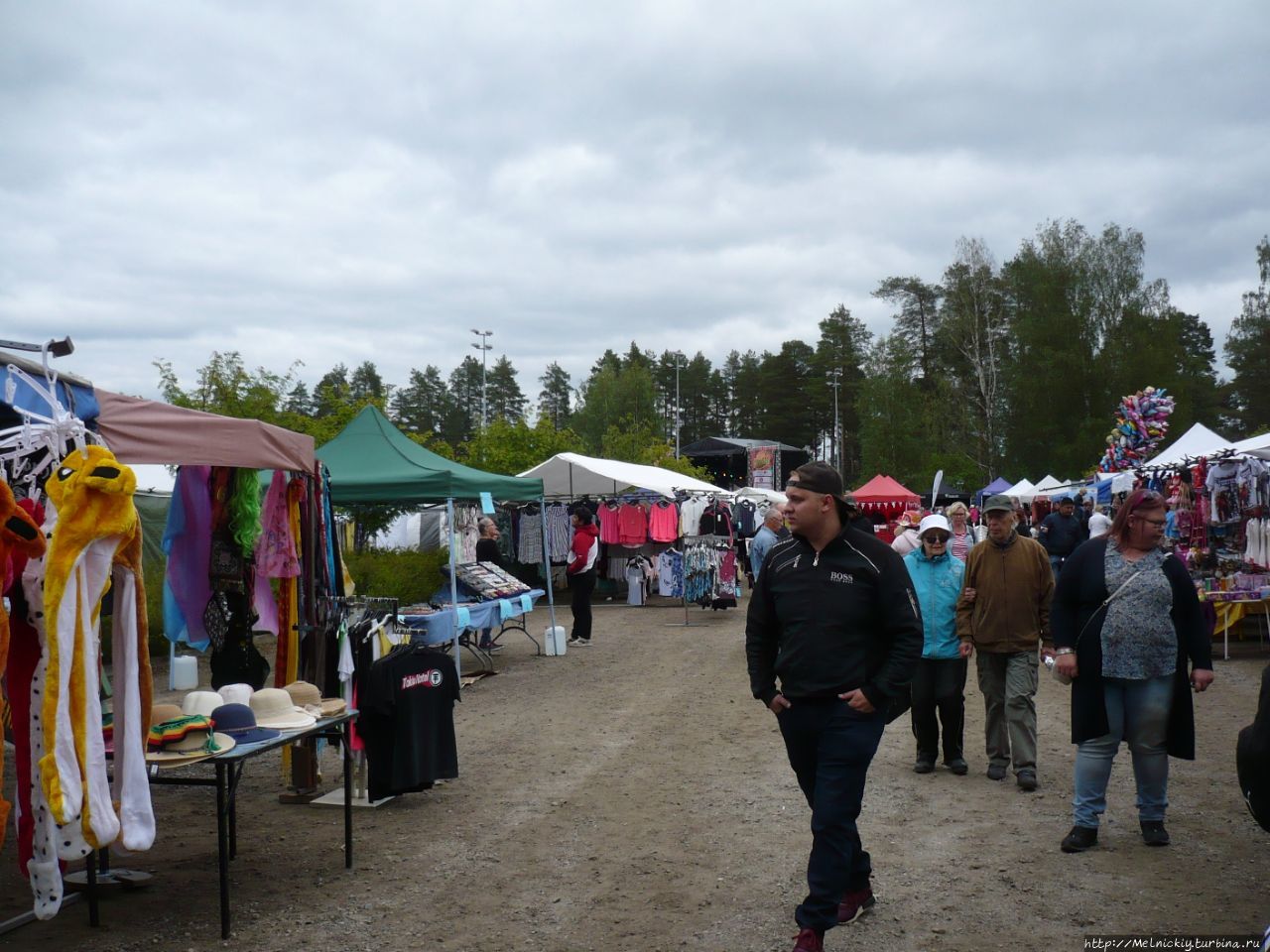 Фестиваль клубники в уездном городе Суоненйоки, Финляндия