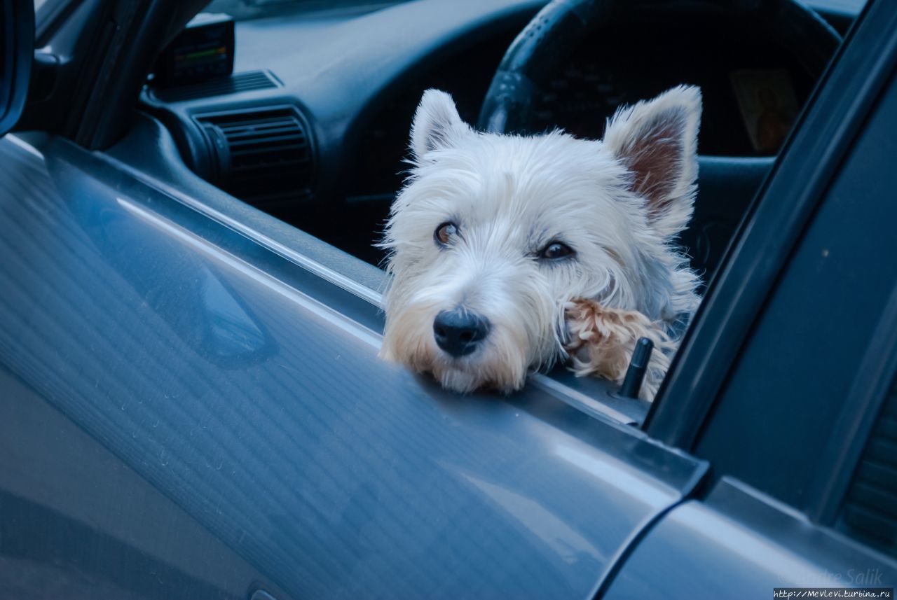 Остров Буллю Рига, Латвия