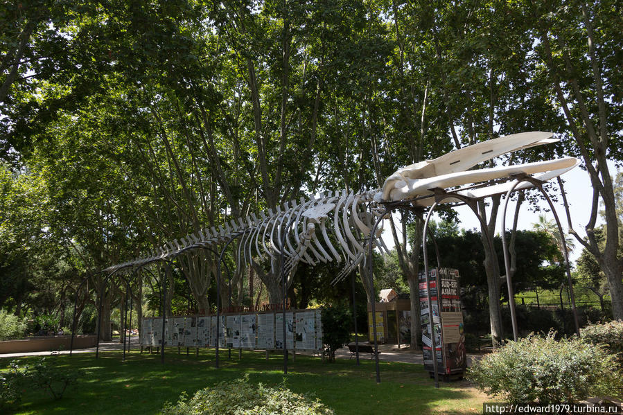 Зоопарк Барселоны Барселона, Испания