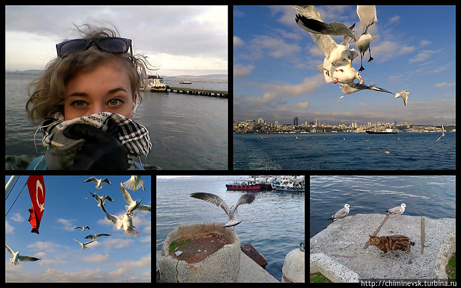 Стамбул. День третий