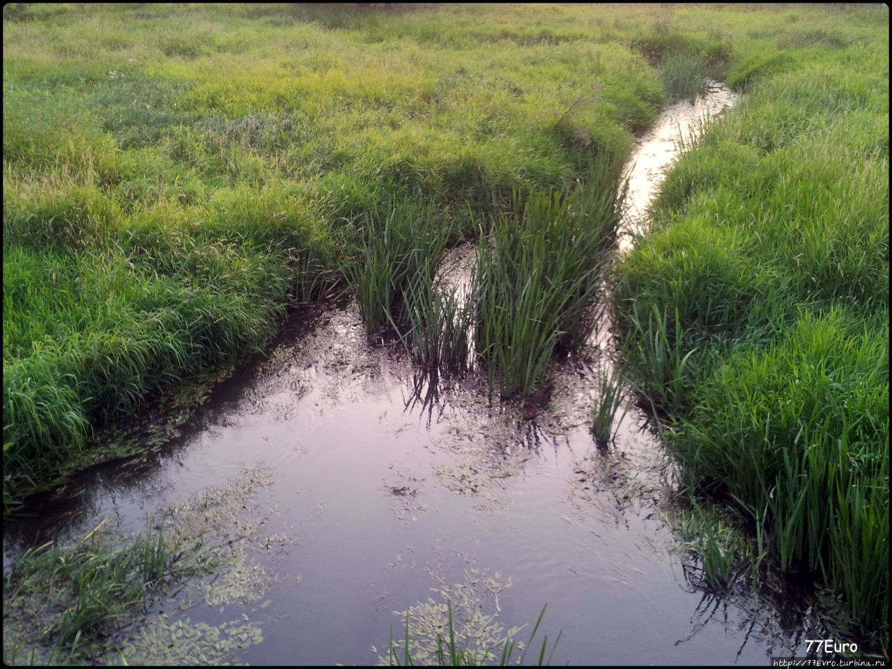 Усадьба Тайнинское