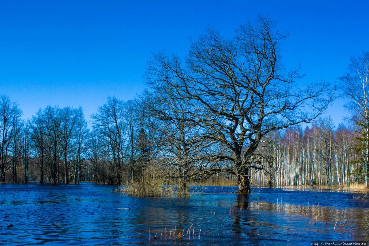 Национальный парк Соомаа / Soomaa national park