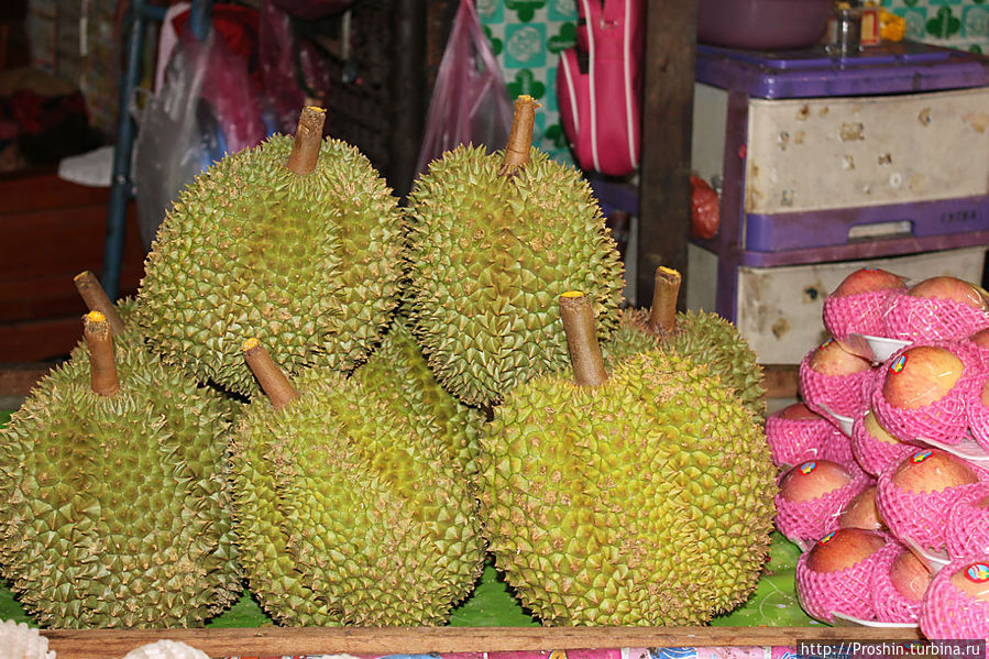 запрещенный фрукт. дуриан тайский фрукт. манго дуриан. таиландский фрукт дуриан. запрещенный фрукт.