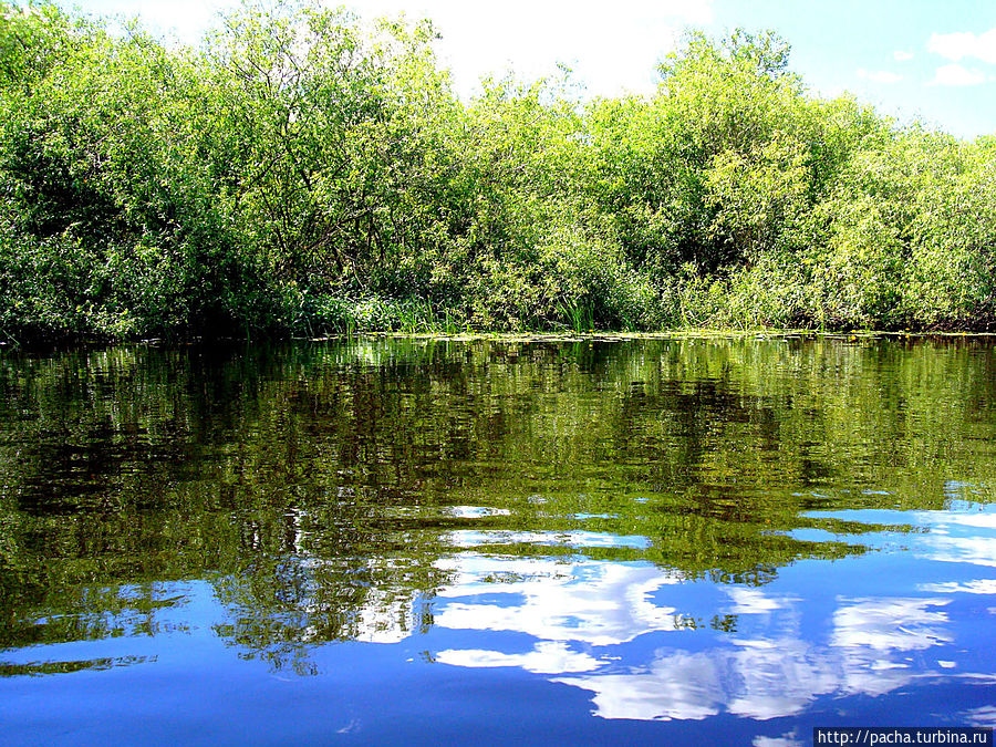Беларусь фрагменты и зарисовки матушки природы Борисов, Беларусь