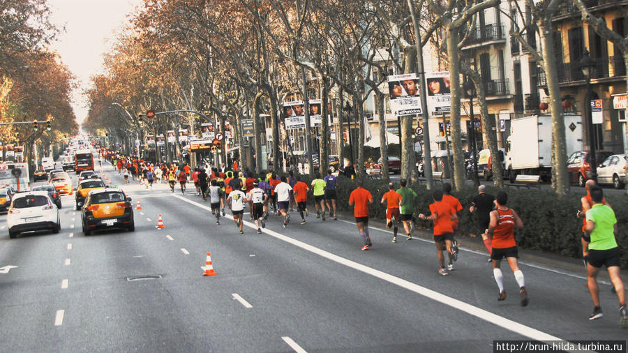 Утром в Барселоне занимаются пробежкой. На дорогах есть специальная полоса для них. Каталония, Испания