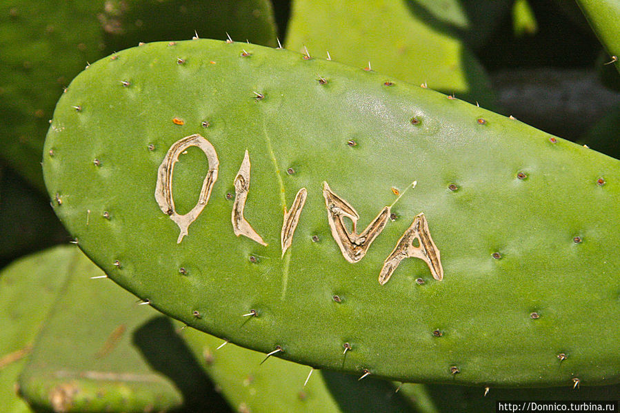 Маяк Сан-Себастьян / Faro San Sebastian