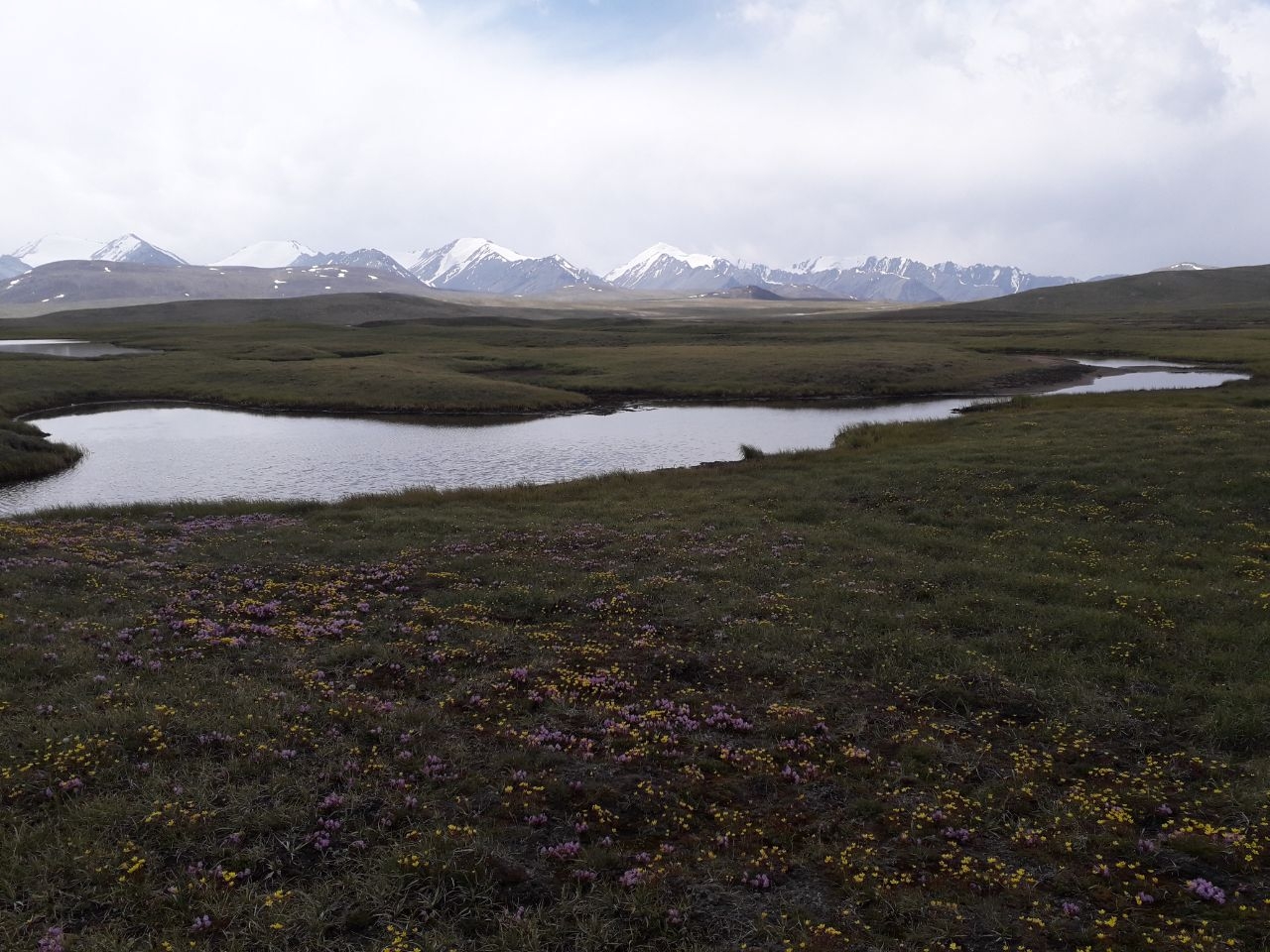 Арабельский сырт Долина Арабель, Киргизия