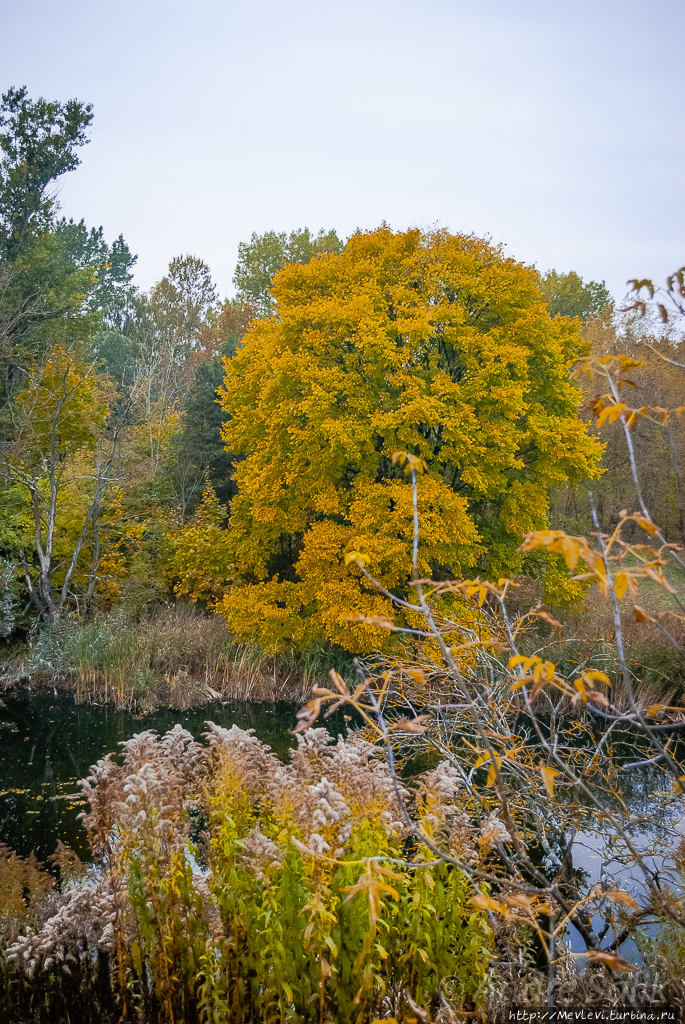 Красивая осень!!! Рига, Латвия