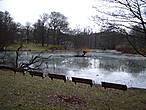 пруд в парке