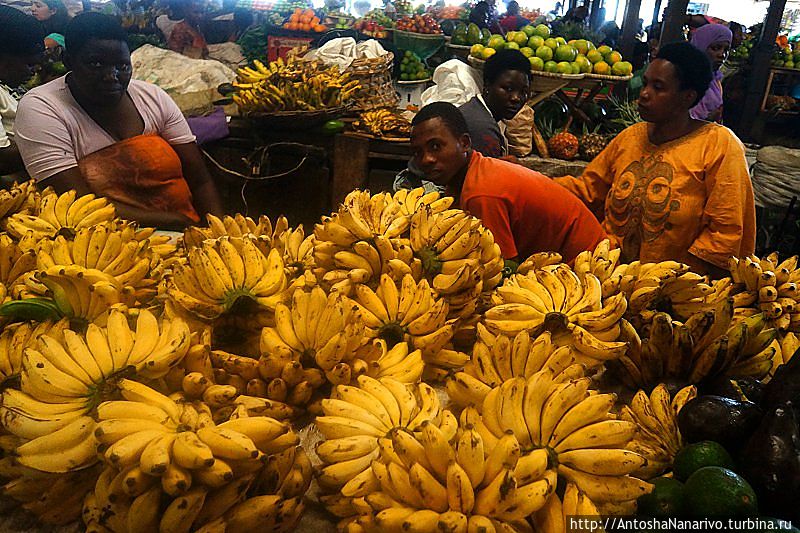 Сладкие бананы. Кигали, Руанда