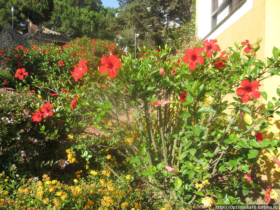 Аланда клуб Марбелья Марбелья, Испания
