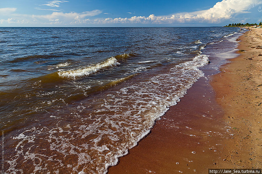 Берег Чудского озера, село Ветвеник Псковская область, Россия