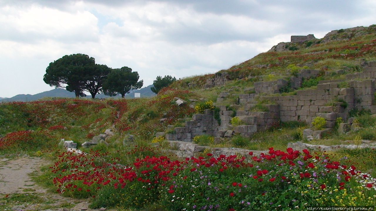 Пергам Бергама (Пергам) античный город, Турция